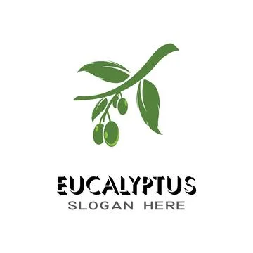 Eucalyptus leaves logo vector template Stock Illustration