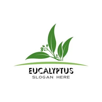 Eucalyptus leaves logo vector template Stock Illustration