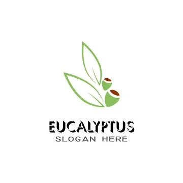 Eucalyptus leaves logo vector template Stock Illustration