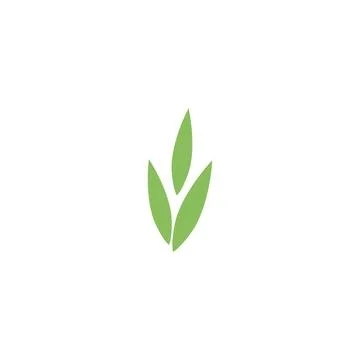 Eucalyptus leaves logo vector template Stock Illustration