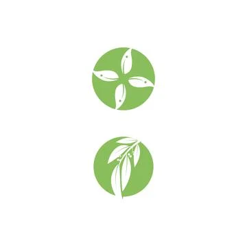 Eucalyptus leaves logo vector template Stock Illustration