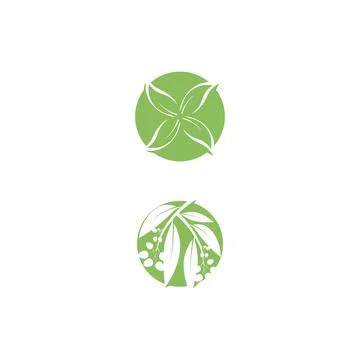Eucalyptus leaves logo vector template Stock Illustration
