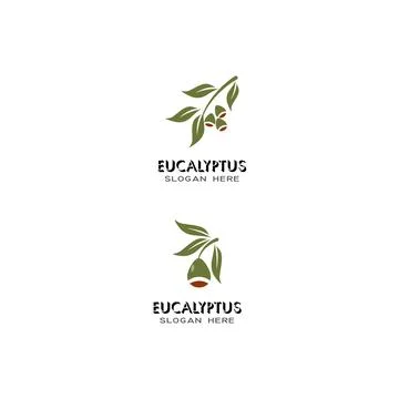 Eucalyptus leaves logo vector template Stock Illustration