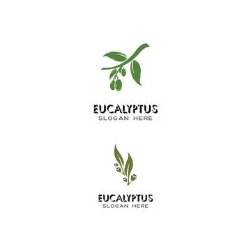 Eucalyptus leaves logo vector template Stock Illustration