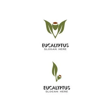 Eucalyptus leaves logo vector template Stock Illustration