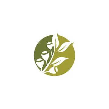 Eucalyptus leaves logo vector template Stock Illustration