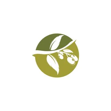Eucalyptus leaves logo vector template Stock Illustration