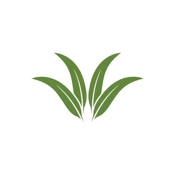 Eucalyptus leaves logo vector template Stock Illustration