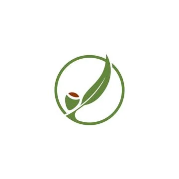 Eucalyptus leaves logo vector template Stock Illustration