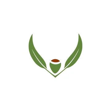 Eucalyptus leaves logo vector template Stock Illustration
