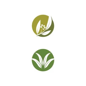 Eucalyptus leaves logo vector template Stock Illustration