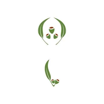 Eucalyptus leaves logo vector template Stock Illustration