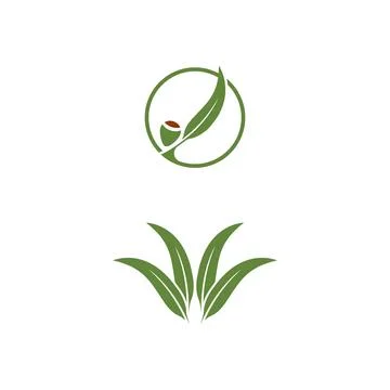 Eucalyptus leaves logo vector template Stock Illustration