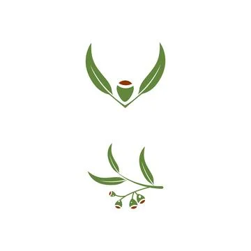 Eucalyptus leaves logo vector template 库存插图