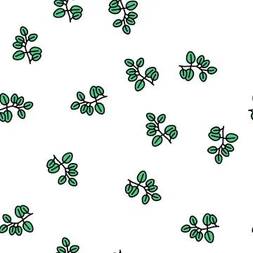 Eucalyptus leaves vector seamless pattern Stock Illustration