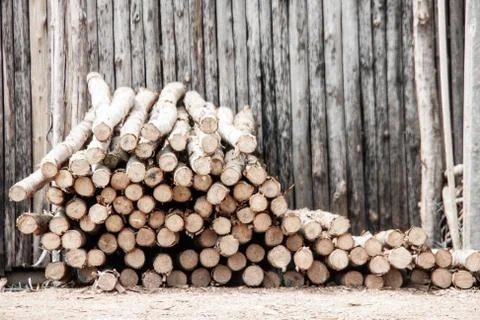 Eucalyptus log Stock Photos