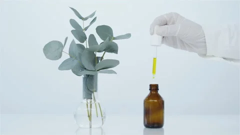 Eucalyptus. Making natural cosmetics. Stock Footage 149180851