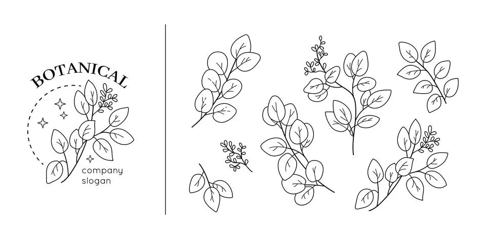 Eucalyptus monogram, herb design elements. Handmade frames with seed, elegant Illustrazione stock