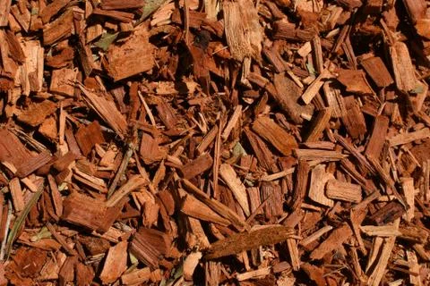 Eucalyptus mulch texture background Stock Photos