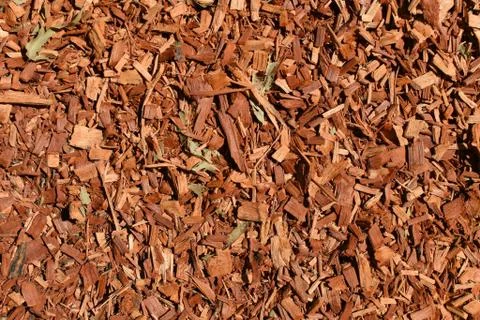Eucalyptus mulch texture background Stock Photos