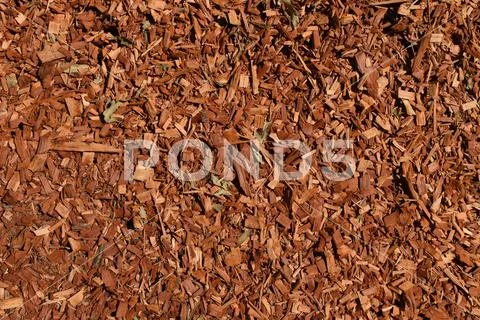 Eucalyptus mulch texture background Stock Photos