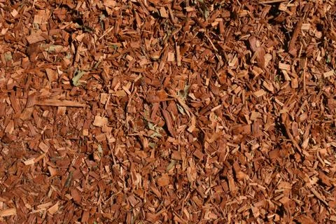 Eucalyptus mulch texture background Stock Photos