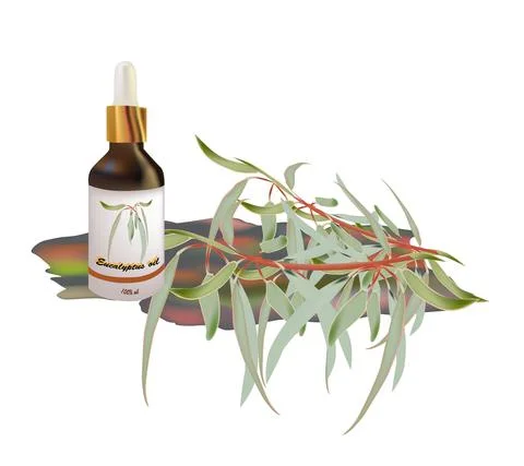 Eucalyptus oil Stock Illustration