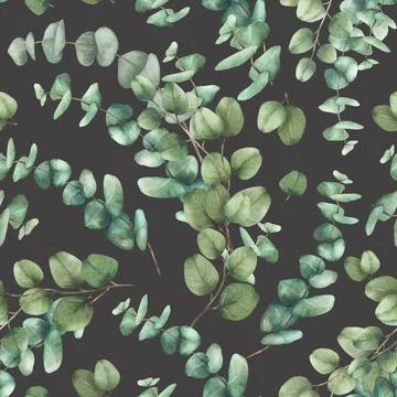 Eucalyptus plant seamless pattern. Greenery Bouquet Watercolor branch with round Stock Illustration