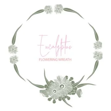 Eucalyptus Round Wreath Vector Stock Illustration