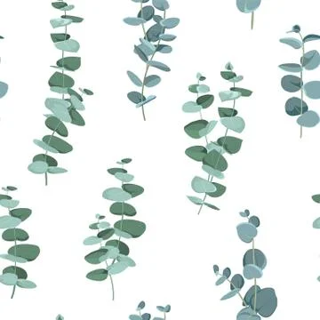 Eucalyptus seamless pattern in rustic style on white background. Seamless tropic Stockillustratie