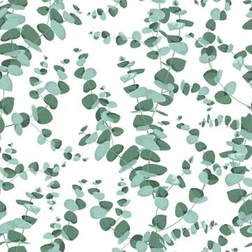 Eucalyptus seamless pattern in rustic style on white background. Seamless tropic イラスト素材