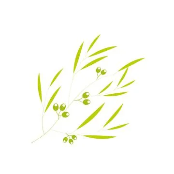 Eucalyptus set. Collection icon eucalyptus. Stock Illustration