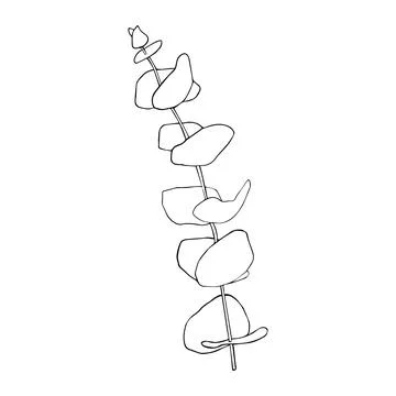 Eucalyptus silver dollar branch continuous line drawing. One line minimalism art Stock Illustration