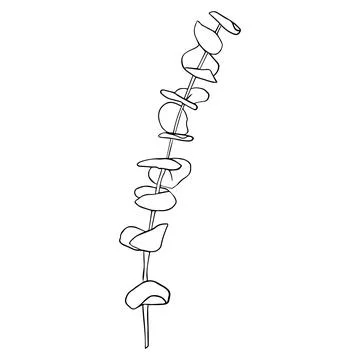 Eucalyptus silver dollar branch continuous line drawing. One line minimalism art Stock Illustration