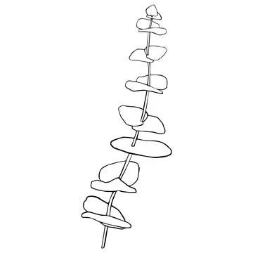 Eucalyptus silver dollar branch continuous line drawing. One line minimalism art Illustrazione stock