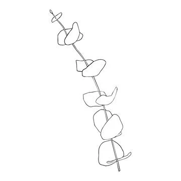Eucalyptus silver dollar branch continuous line drawing. One line minimalism art Stock Illustration