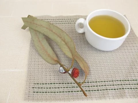 Eucalyptus tea Stock Photos