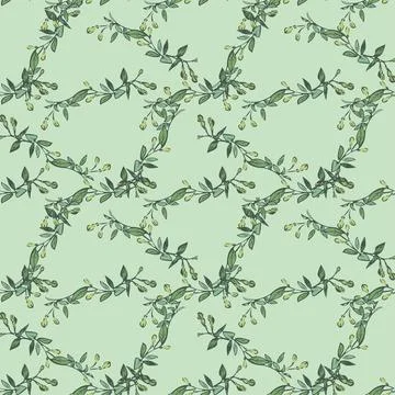 Eucalyptus tree branch with buds drawing, floral seamless pattern, nature abs Stock Illustration