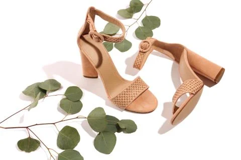 Eucalyptus tree layout with beige suede  high heel pumps isolated on white Stock Photos