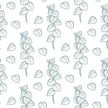 Eucalyptus twigs seamless pattern vector illustration Stock Illustration