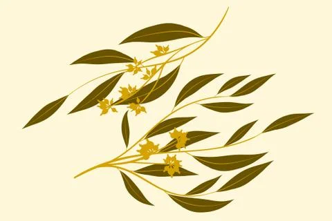 Eucalyptus Vector. Decorative Vector Leaves and Branches. Elegant Foliage. Be Stock Illustration