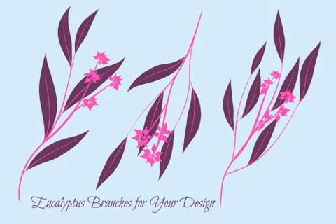 Eucalyptus Vector. Decorative Vector Leaves and Branches. Elegant Foliage. Be Stock Illustration