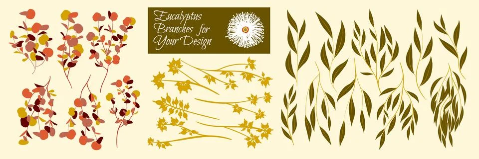 Eucalyptus Vector. Decorative Vector Leaves and Branches. Elegant Foliage. Be Stock Illustration