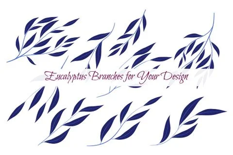Eucalyptus Vector. Decorative Vector Leaves and Branches. Elegant Foliage. Be Illustrazione stock