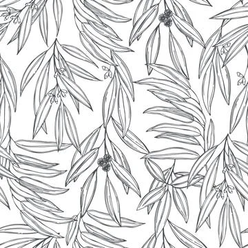 Eucalyptus. Vector  seamless pattern Stock Illustration