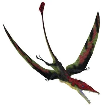 Eudimorphodon Pterosaur Diving Stock Illustration