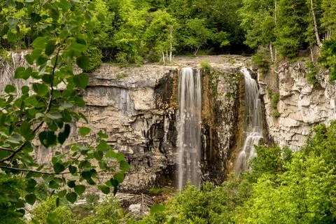 Eugenia falls Stock Photos