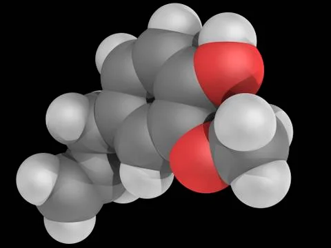 Eugenol molecule Stock Illustration
