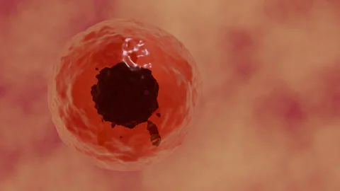 Eukaryotic cell Stock Footage 282172239