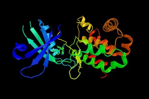 Eukaryotic translation initiation factor 2-alpha kinase 3, an enzyme which .. Illustration